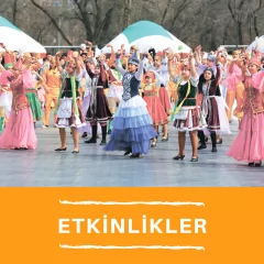 Etkinlikler