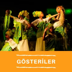 Gösteriler