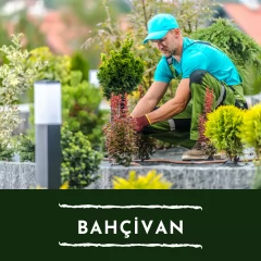 Bahçıvan