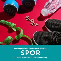 Spor